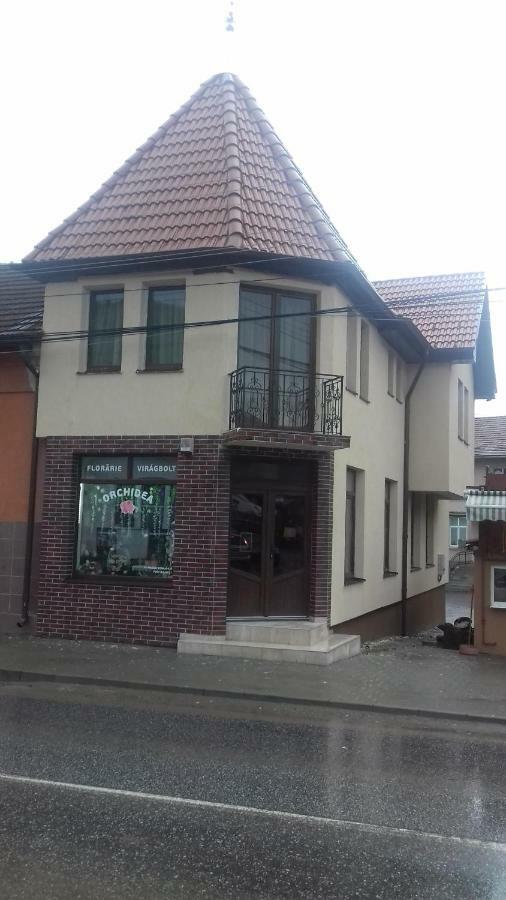 Casa Claudia Hotel Sangeorgiu de Padure Exterior photo